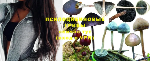СК Абаза