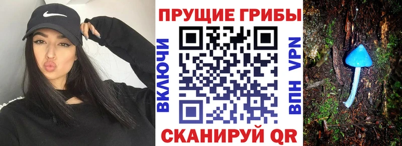 цена   OMG   Галлюциногенные грибы мицелий  Зеленогорск 