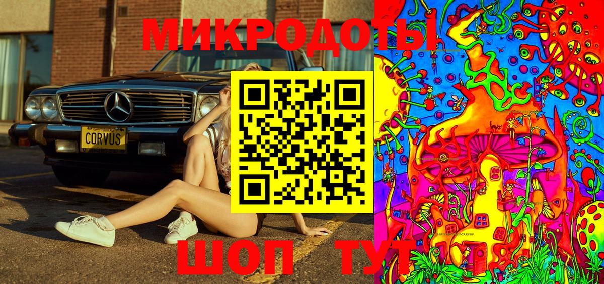 Галлюциногенные грибы Psilocybe Зеленогорск