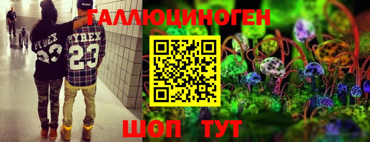 Зеленогорск  Галлюциногенные грибы Psilocybine cubensis  где купить наркотик  Галлюциногенные грибы Cubensis  Вход с VPN 