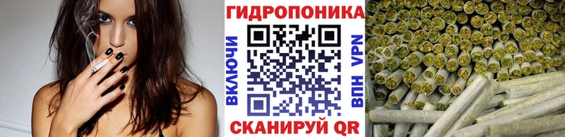 где продают наркотики  Зеленогорск  Каннабис LSD WEED 
